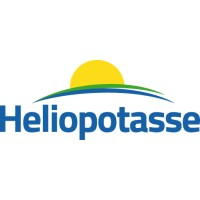 Heliopotasse